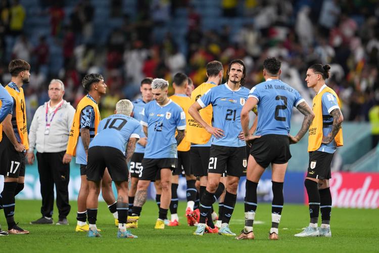 世界杯乌拉圭vs加纳