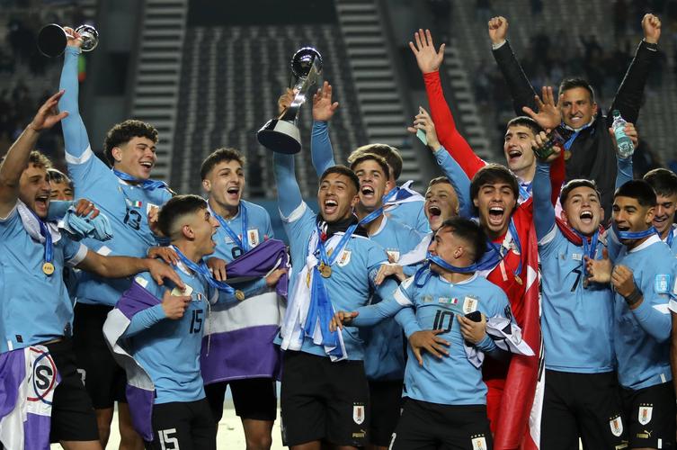 乌拉圭足球世界排名多少位
