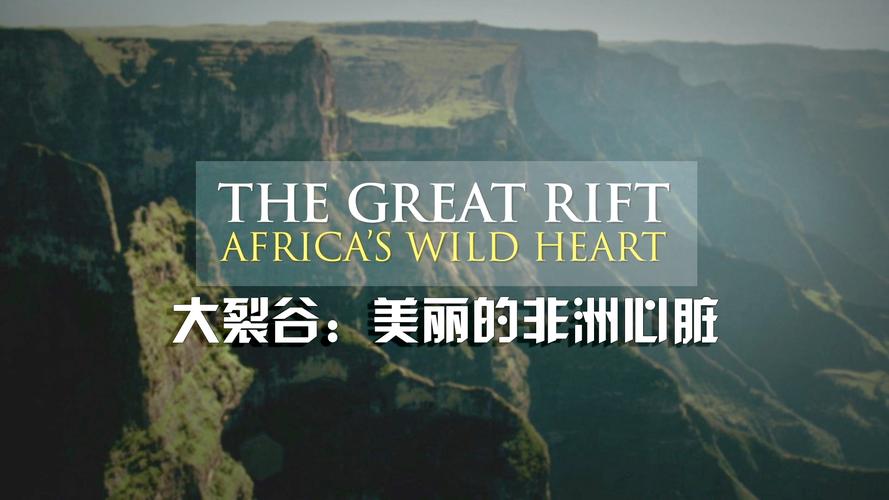 非洲野性奇迹纪录片